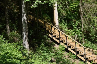 Parktaki tahta merdivenler.