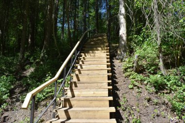 Parktaki tahta merdivenler.