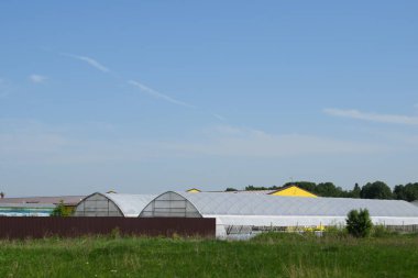 Bitki yetiştirmek için seralar, kreşler