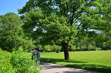 Parkta bir patika, bir yaz günü, dinlenecek bir yer.