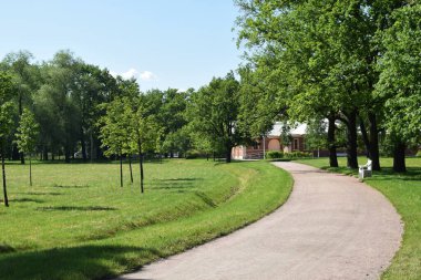 Parkta bir patika, bir yaz günü, dinlenecek bir yer.