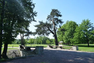 Parkta bir patika, bir yaz günü, dinlenecek bir yer.