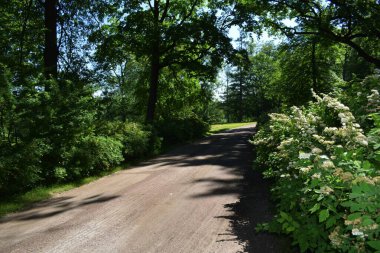 Parkta bir patika, bir yaz günü, dinlenecek bir yer.