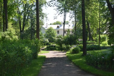 bahçe evi, kır hayatı, manzara tasarımı, güneşli bir gün.