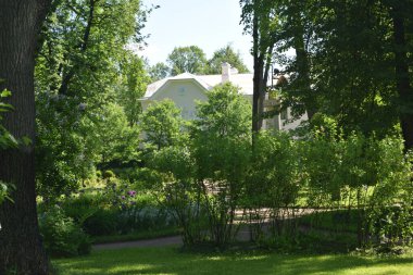 Bahçedeki manzara tasarımı, çiçek tarlaları, çiçek açan bitkiler.