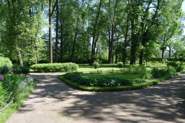 Bahçedeki manzara tasarımı, çiçek tarlaları, çiçek açan bitkiler.