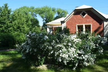 bahçe evi, kır hayatı, manzara tasarımı, güneşli bir gün.