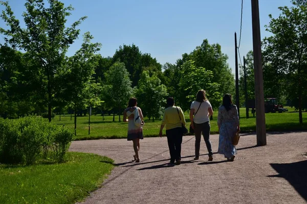 Parkta bir patika, bir yaz günü, dinlenecek bir yer.