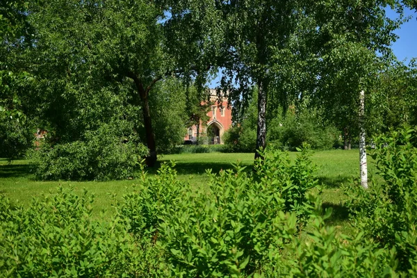 Parkta bir patika, bir yaz günü, dinlenecek bir yer.