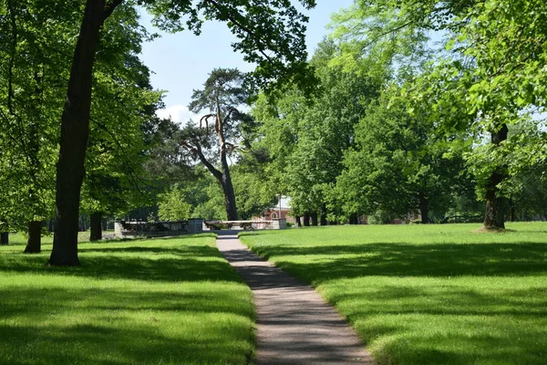 Caminho Parque Dia Verão Lugar Para Relaxar — Fotografia de Stock