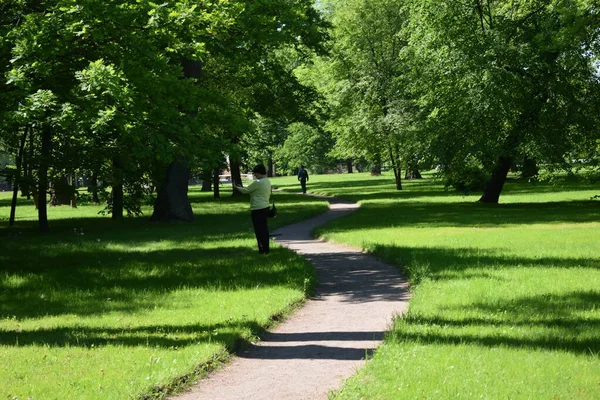 Path Park Summer Day Place Relax — Stock Photo, Image