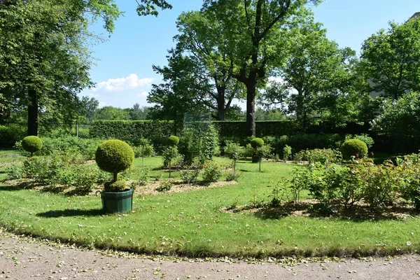 Landschap Ontwerp Tuin Bloembedden Bloeiende Planten — Stockfoto