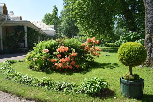 landscape design in the garden, flower beds, flowering plants