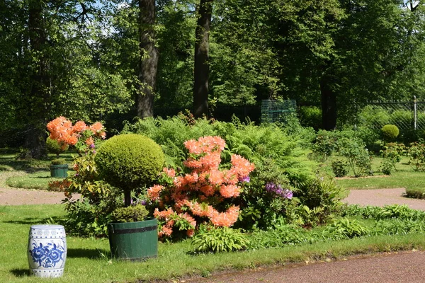 Projeto Paisagem Jardim Canteiros Flores Plantas Com Flores — Fotografia de Stock