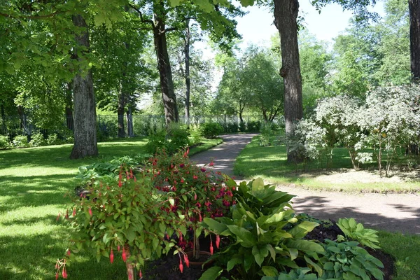 Diseño Del Paisaje Jardín Macizos Flores Plantas Con Flores —  Fotos de Stock