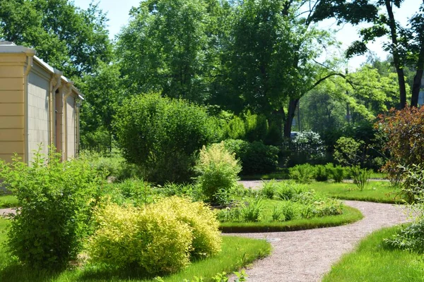 Aménagement Paysager Dans Jardin Parterres Fleurs Plantes Fleurs — Photo