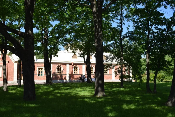 Bahçe Evi Kır Hayatı Manzara Tasarımı Güneşli Bir Gün — Stok fotoğraf