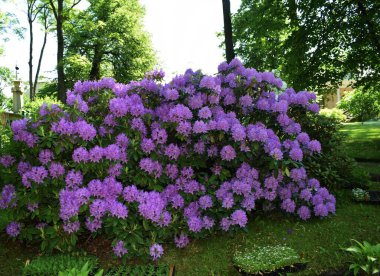 Parktaki insanlar için dinlenme yeri, parktaki manzara tasarımı, yaz günü