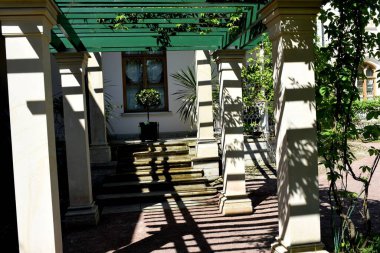 Parktaki insanlar için dinlenme yeri, parktaki manzara tasarımı, yaz günü