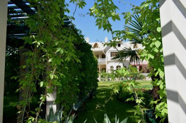 Parktaki insanlar için dinlenme yeri, parktaki manzara tasarımı, yaz günü