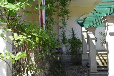 Parktaki insanlar için dinlenme yeri, parktaki manzara tasarımı, yaz günü