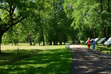 Parktaki insanlar için dinlenme yeri, parktaki manzara tasarımı, yaz günü
