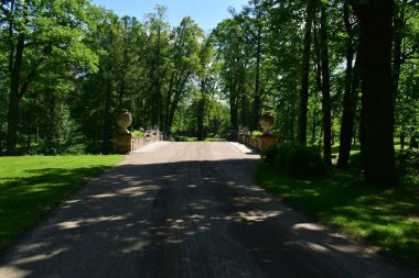 Parktaki insanlar için dinlenme yeri, parktaki manzara tasarımı, yaz günü