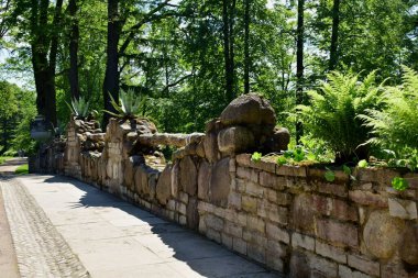 Parktaki insanlar için dinlenme yeri, parktaki manzara tasarımı, yaz günü