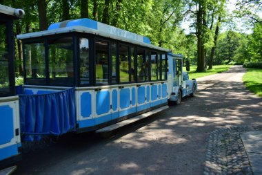 Parktaki buhar treni, parktaki manzara tasarımı, yaz günü, insanların dinlenebileceği bir yer.