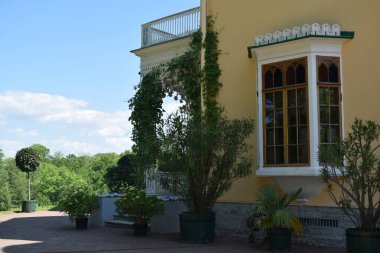 Parktaki manzara, bir yaz günü, insanların dinlenebileceği bir yer.