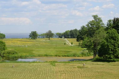 Parktaki manzara, bir yaz günü, insanların dinlenebileceği bir yer.