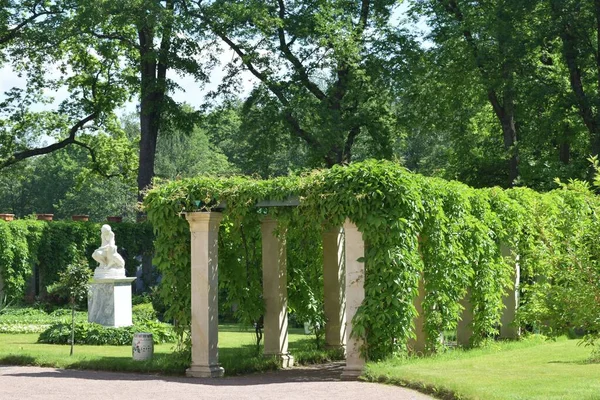 Rekreationsplats För Människor Parken Landskapsdesign Parken Sommardag — Stockfoto