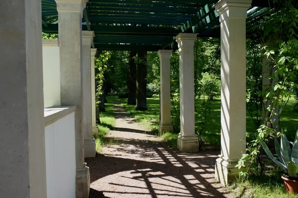 公園の人々のためのレクリエーション場所公園の景観デザイン夏の日 — ストック写真