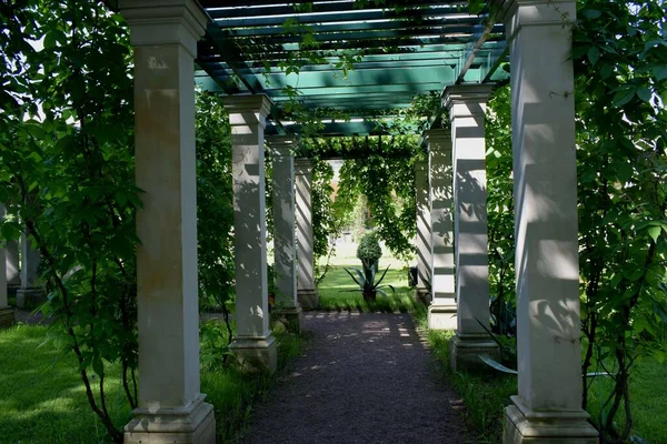 Lugar Recreação Para Pessoas Parque Projeto Paisagem Parque Dia Verão — Fotografia de Stock