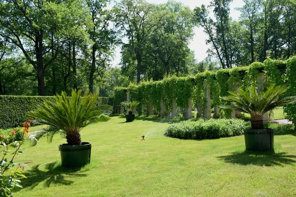 Recreatieplaats Voor Mensen Het Park Landschapsontwerp Het Park Zomerdag — Stockfoto