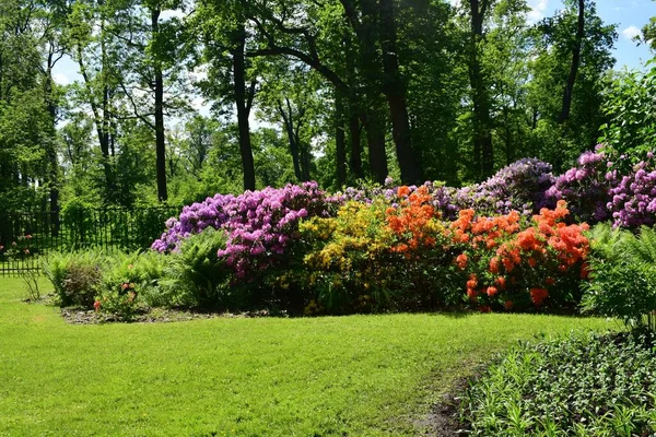 Lieu Loisirs Pour Les Personnes Dans Parc Aménagement Paysager Dans — Photo