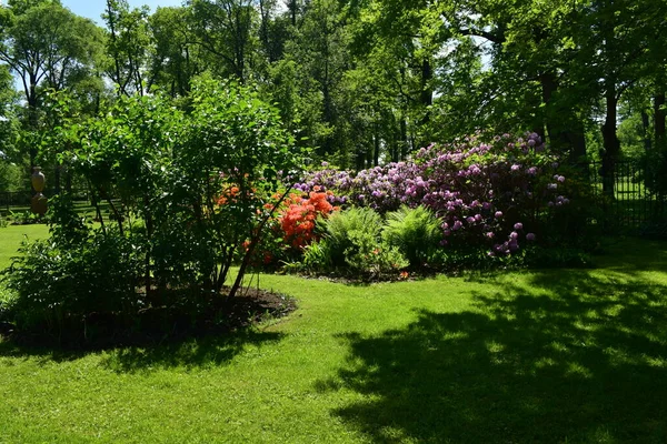 Recreatieplaats Voor Mensen Het Park Landschapsontwerp Het Park Zomerdag — Stockfoto