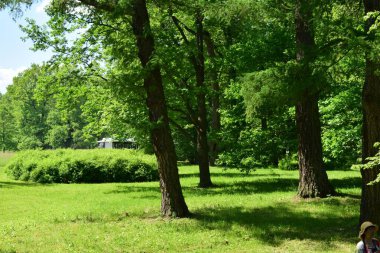 Parktaki manzara, bir yaz günü, insanların dinlenebileceği bir yer.