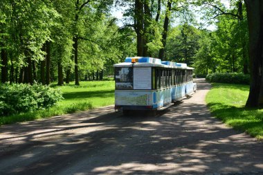 Parktaki insanlar için dinlenme yeri, parktaki manzara tasarımı, yaz günü