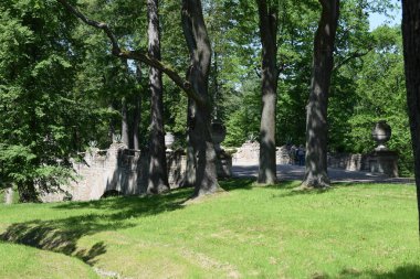 Parktaki manzara, bir yaz günü, insanların dinlenebileceği bir yer.