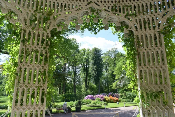 Paisagem Parque Dia Verão Lugar Para Pessoas Relaxarem — Fotografia de Stock