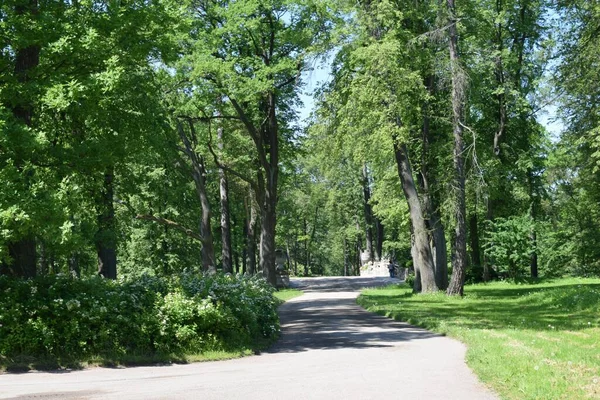 Parktaki manzara, bir yaz günü, insanların dinlenebileceği bir yer.