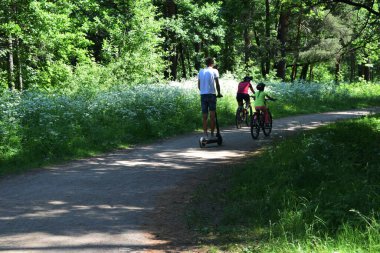 Ormanda yol, parkta yürüyüş.