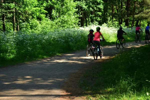 Person Riding Bike — Stock Photo, Image