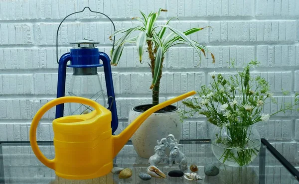 Watering Can Flower Lamp — Stok fotoğraf