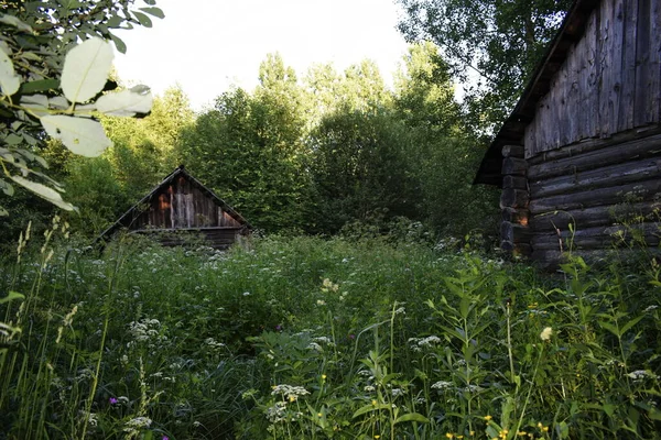 Haus Dorf Sommertag — Stockfoto
