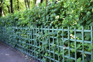 Park dinlenme ve yürüme yeridir.