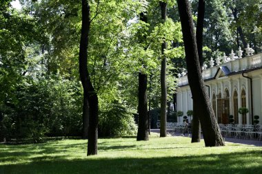 Bir park, insanların dinlenebileceği bir yer, yeşil ağaçlar.