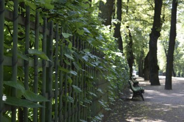 Bir park, insanların dinlenebileceği bir yer, yeşil ağaçlar.
