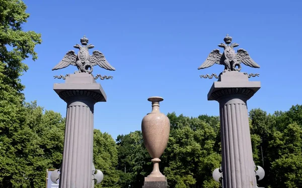 Vase Und Adler Auf Einem Sockel — Stockfoto